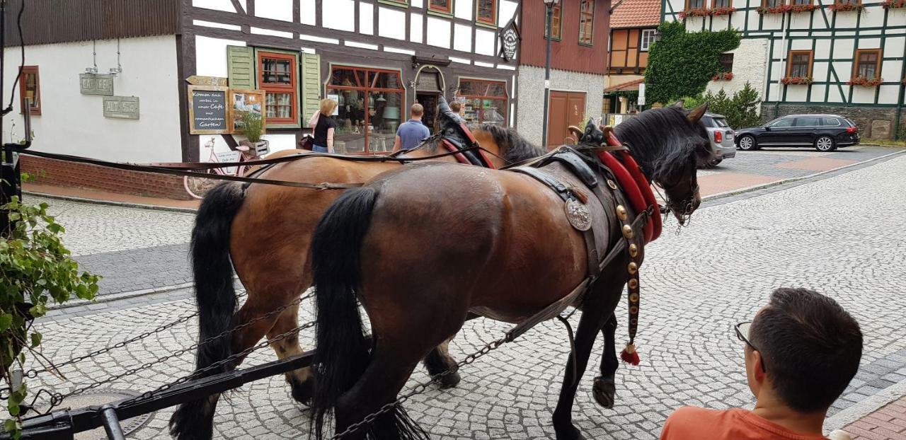 Art Apartment - Harz Stolberg i. Harz المظهر الخارجي الصورة