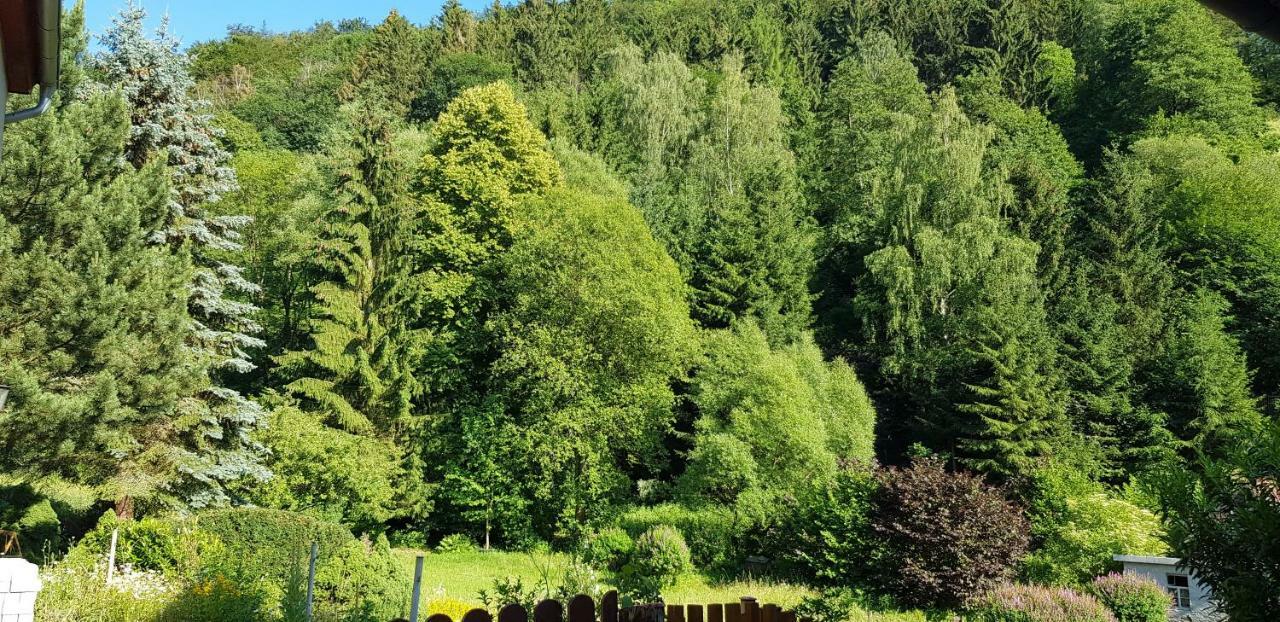 Art Apartment - Harz Stolberg i. Harz المظهر الخارجي الصورة